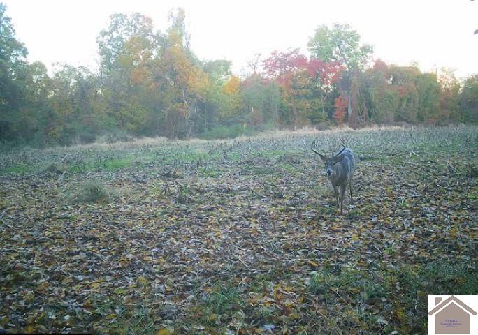000 Sandy Branch Road