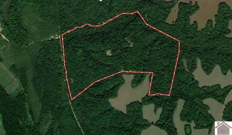 000 Sandy Branch Road Bardwell KY 42023