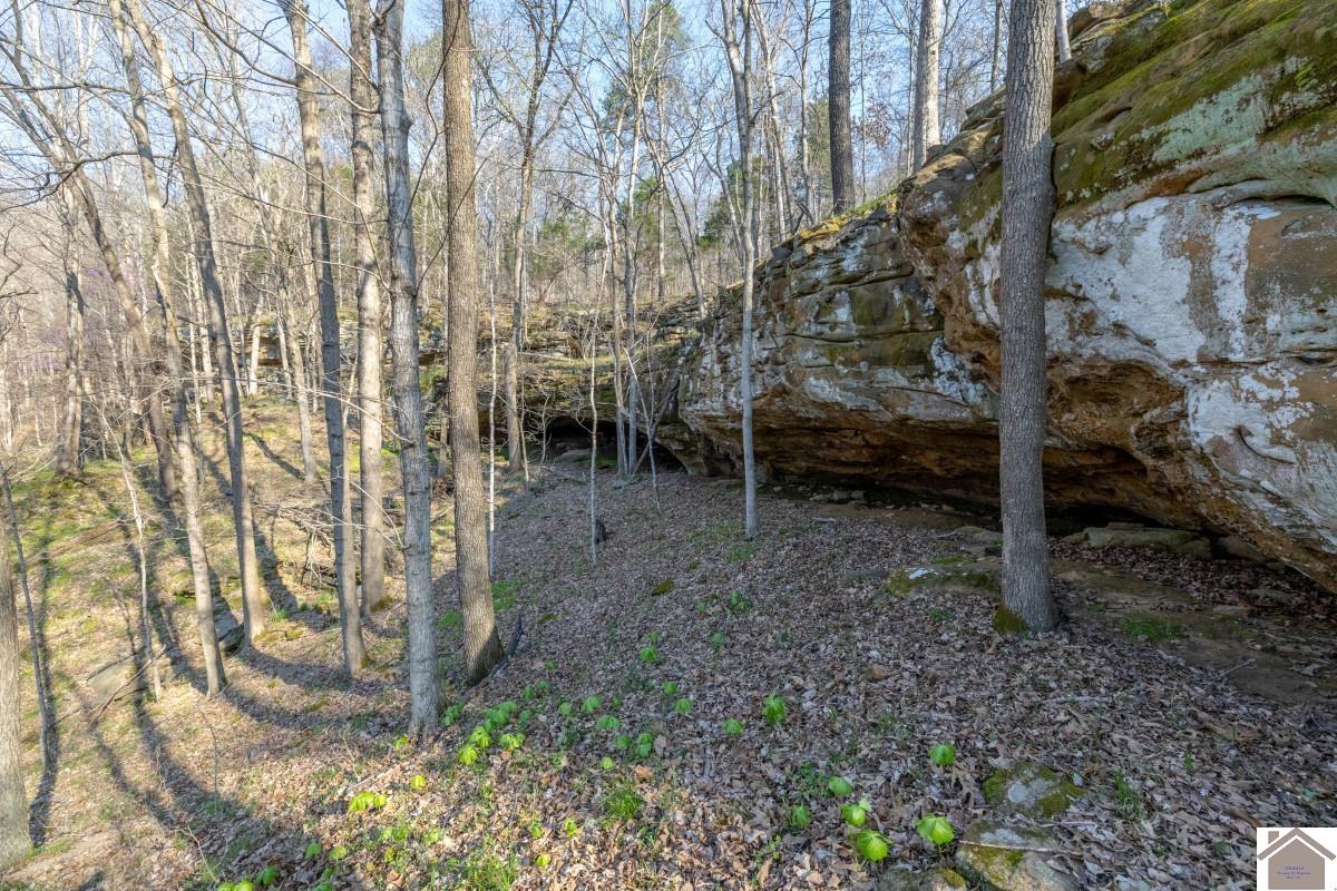 427 Caney Fork Road