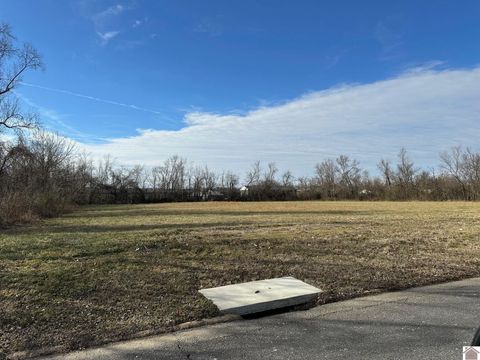 613 S 10th Street Mayfield KY 42066