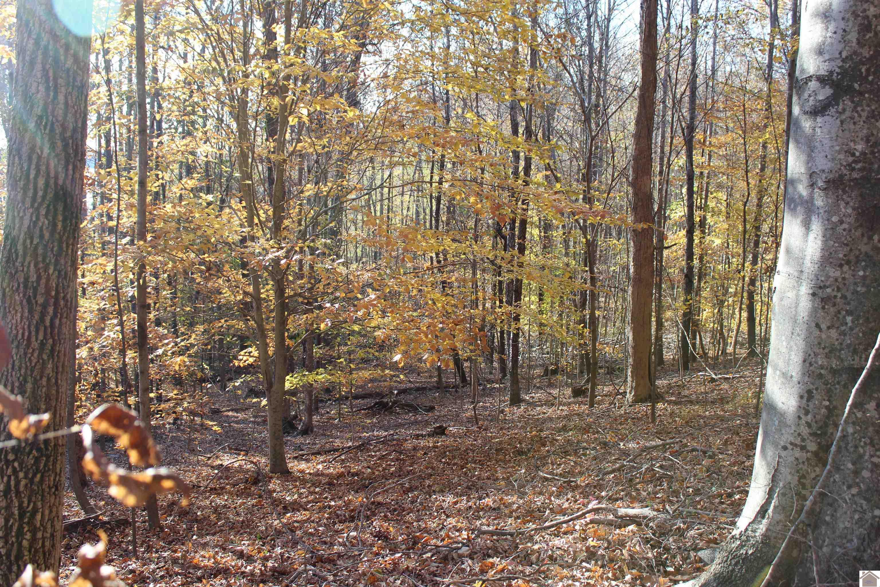 000 Parkersville Road