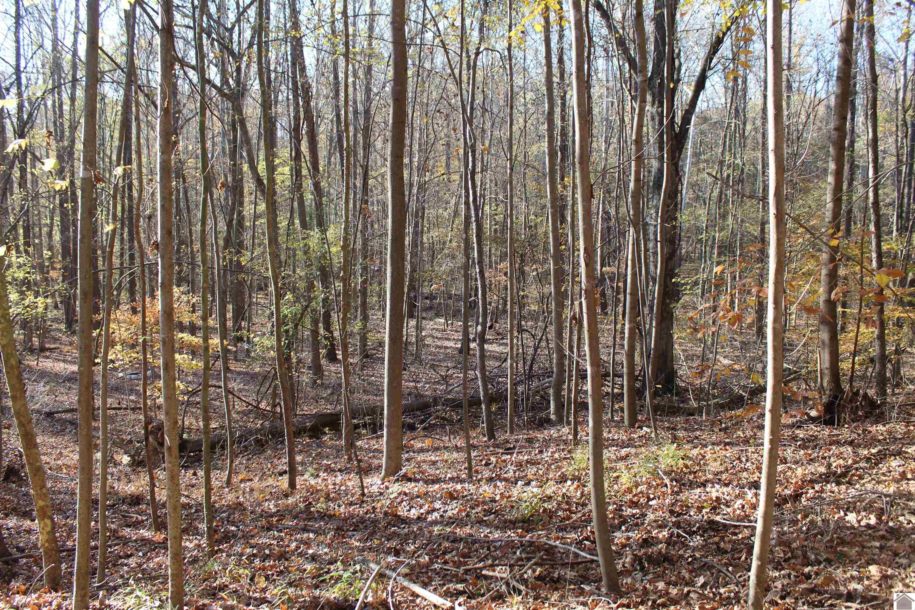 000 Parkersville Road