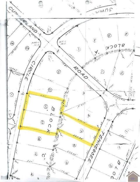 154 suwanee creek dr Gilbertsville KY 42044