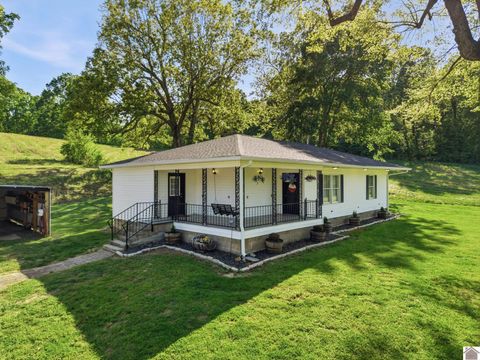 1005 Vaughn Road Smithland KY 42081