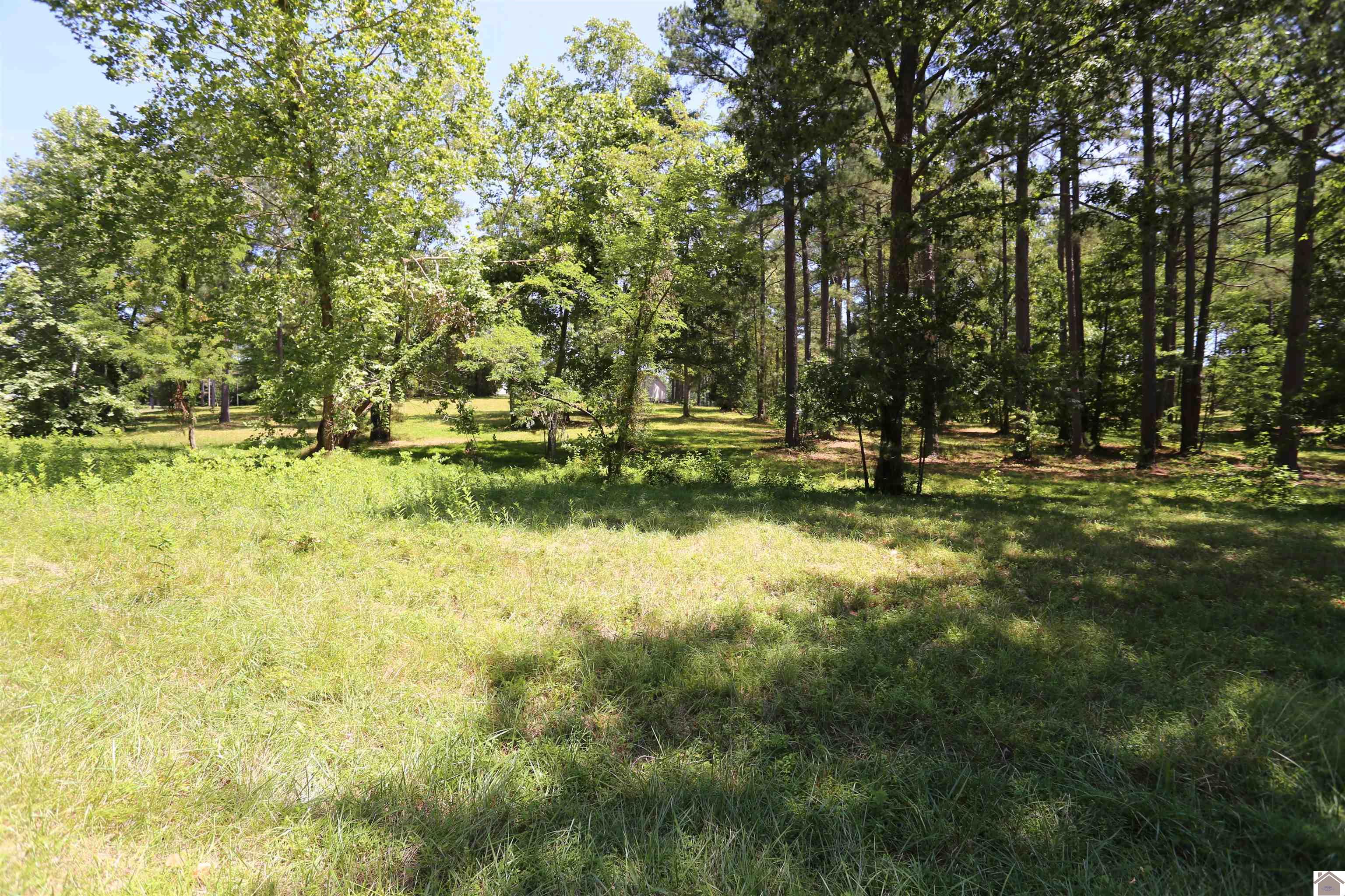 Photo 1 of 11 — Lot #42 Pine View Drive, Benton, KY 42025