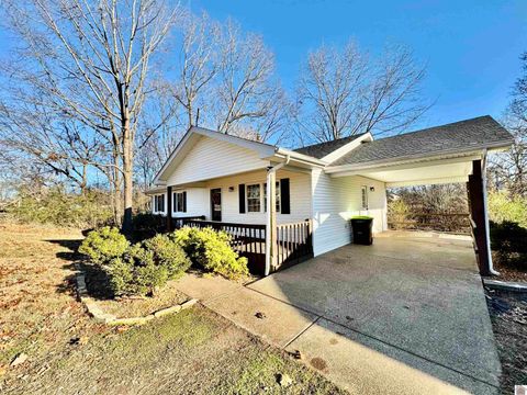 509 Hillview Cadiz KY 42211