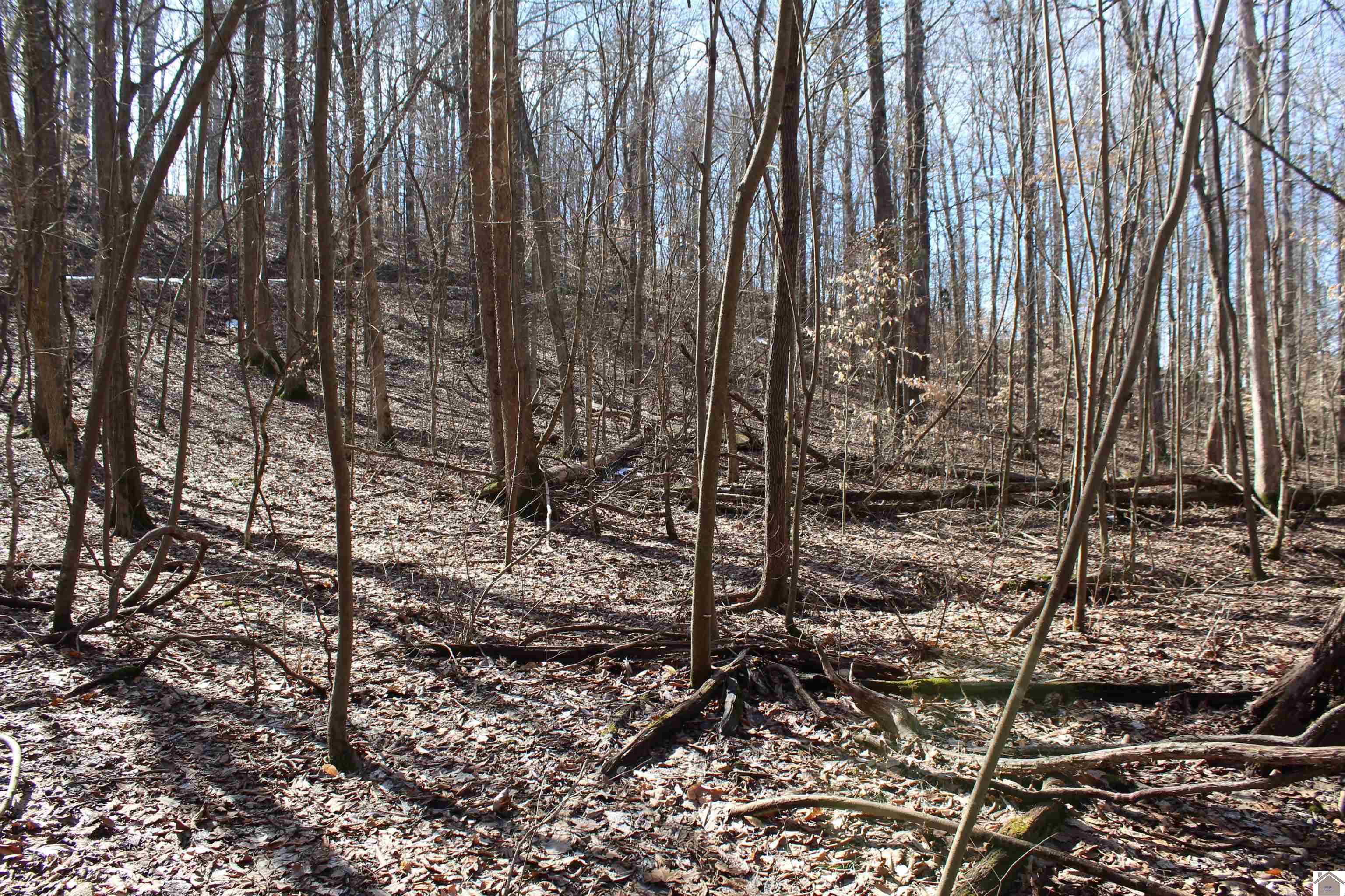 Lots 24E,25E,26 Parkersville Road