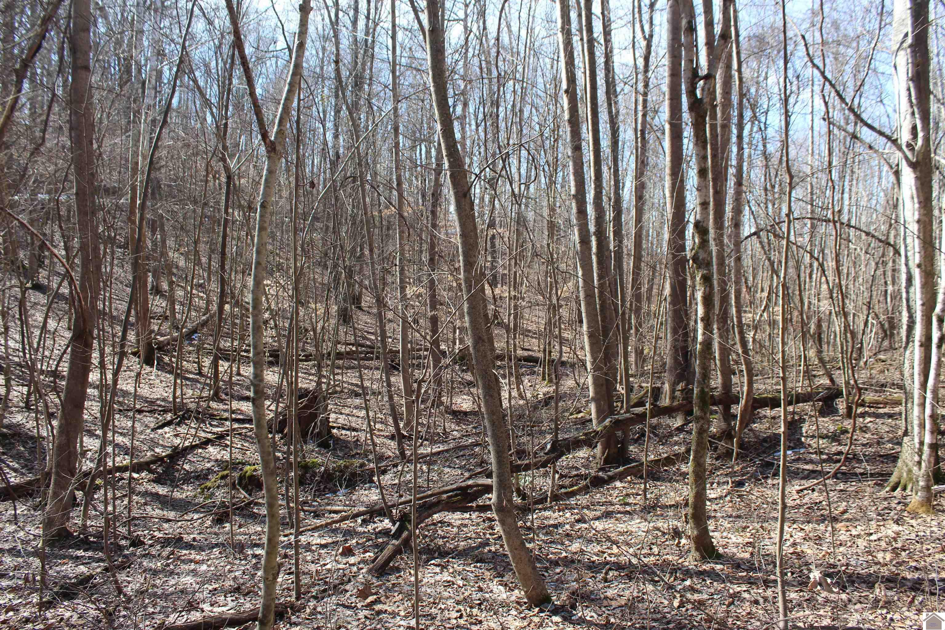 Lots 24E,25E,26 Parkersville Road