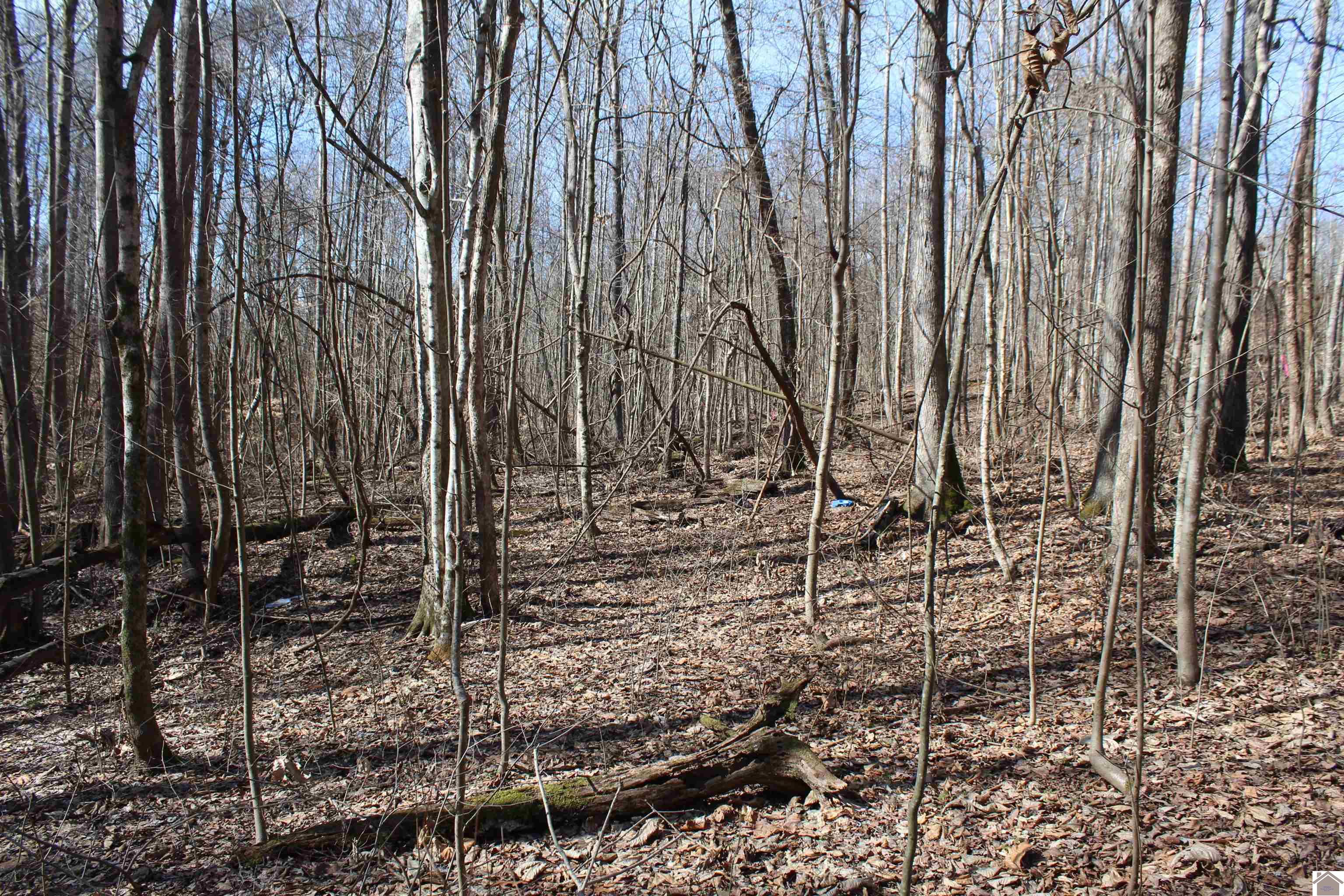 Lots 24E,25E,26 Parkersville Road