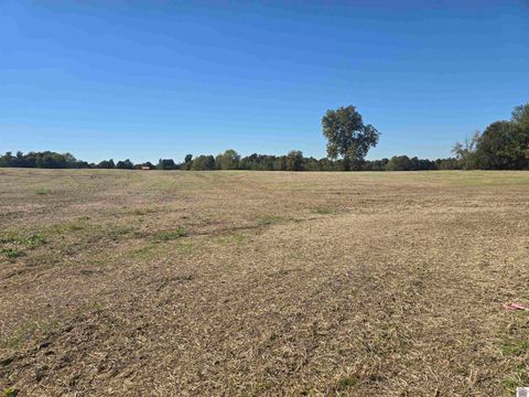 000 N State Route 295 Kuttawa KY 42055