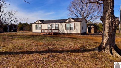 000 Grubbs Road New Concord KY 42076