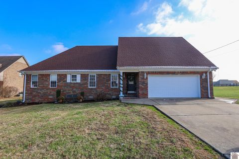 206 Metcalf Lane Almo KY 42020