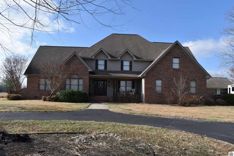 8255 Old Lovelaceville Rd Paducah KY 42001