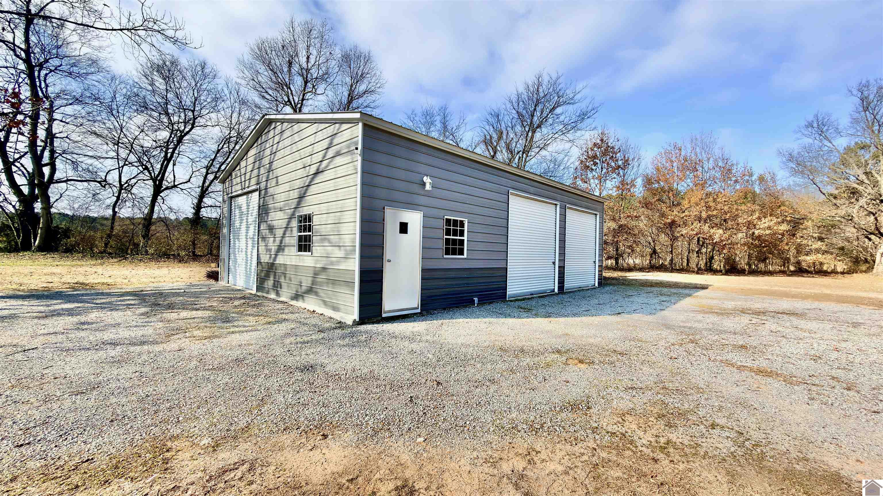 1243 Monkeys Eyebrow