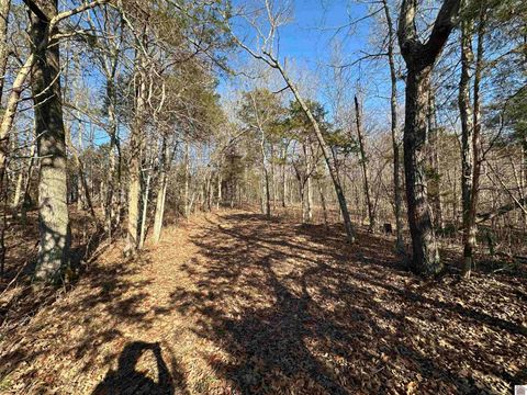 0 Highway 506 Marion KY 42064