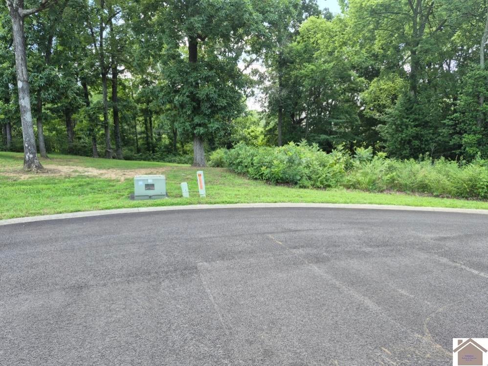 Photo 1 of 4 — Robyn Lane, Benton, KY 42025