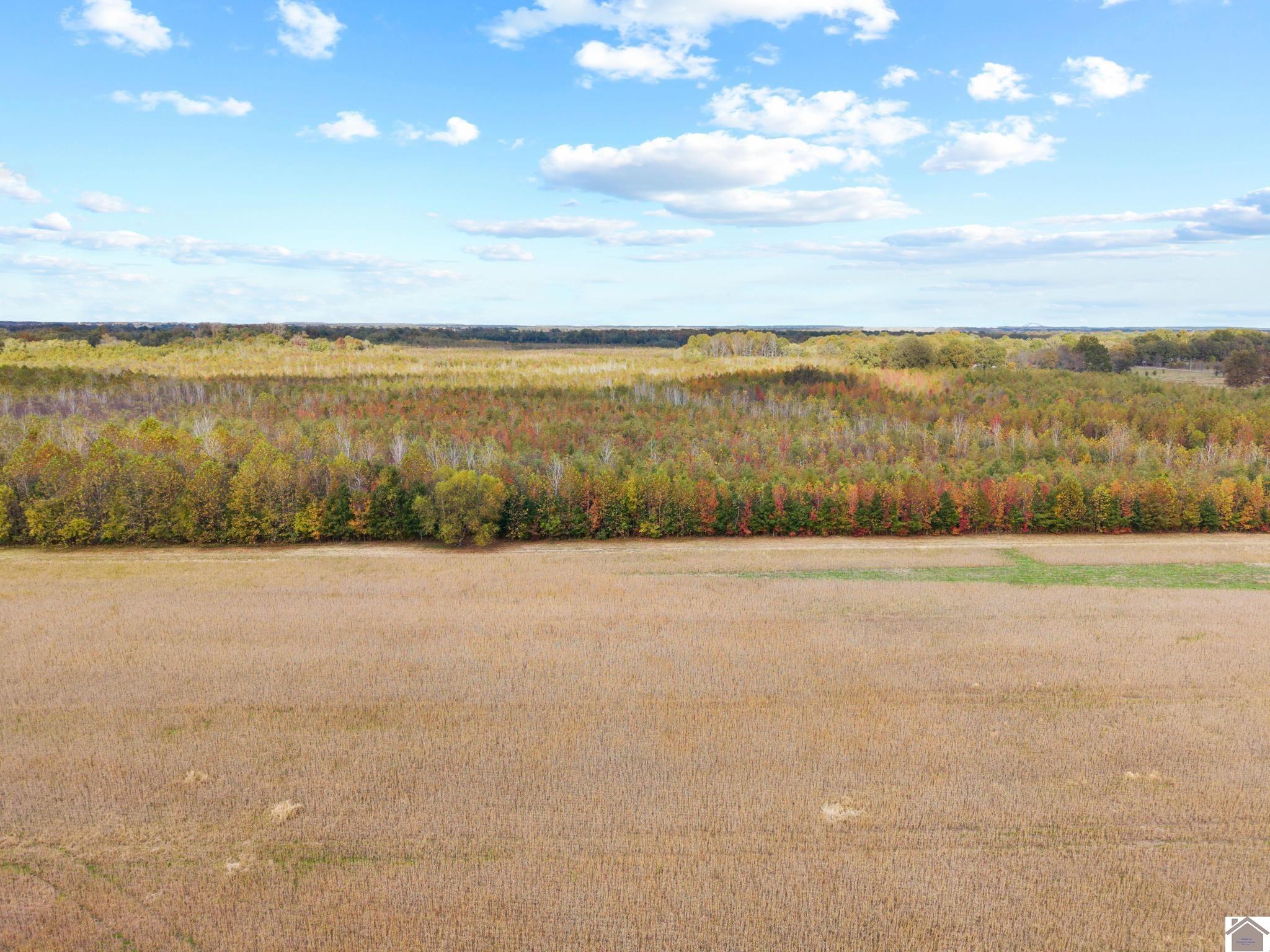 4755 Cold Springs Road