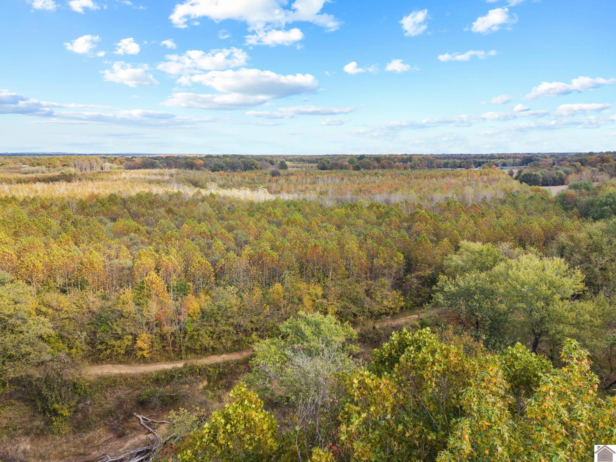 4755 Cold Springs Road