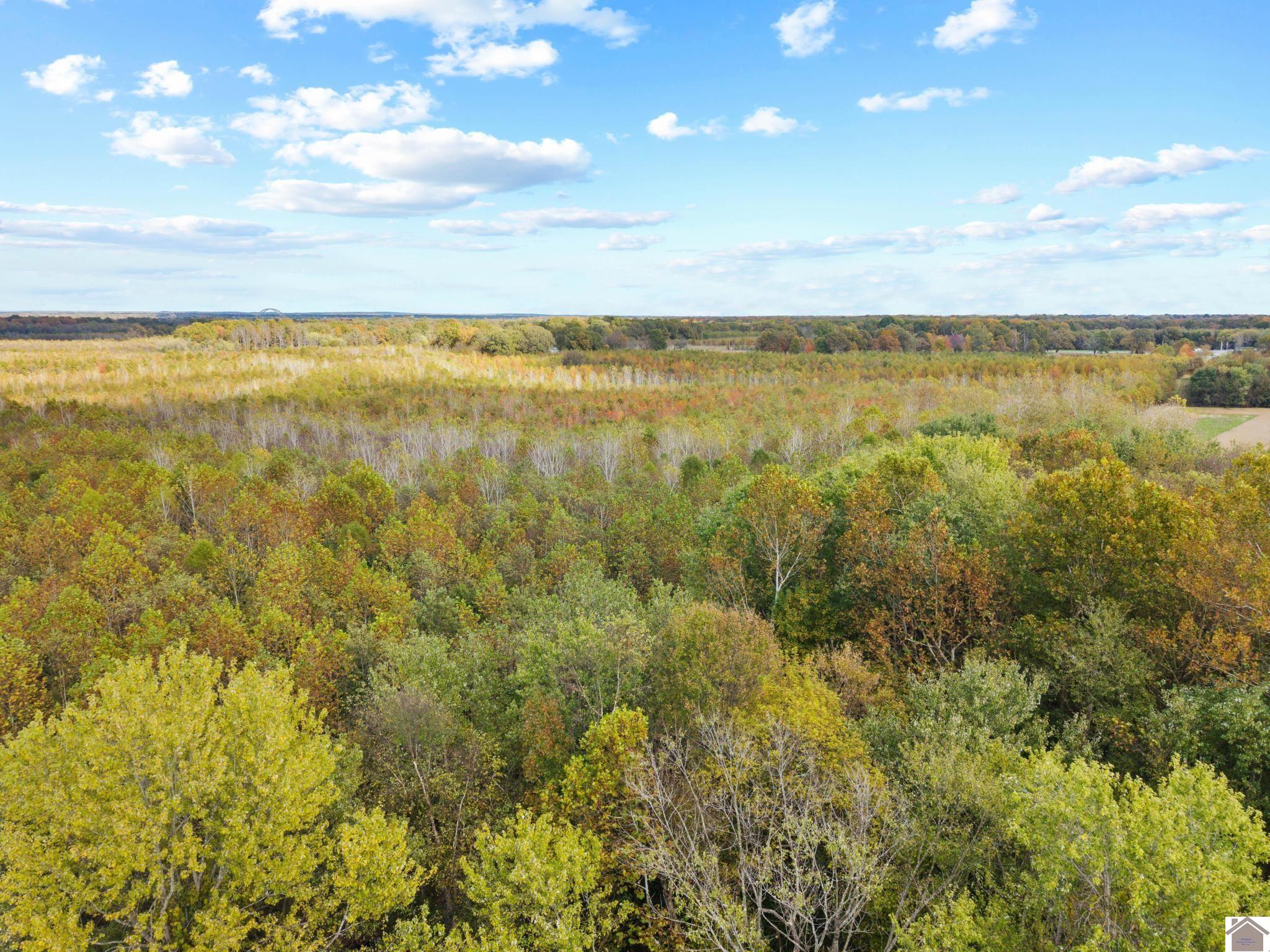 4755 Cold Springs Road