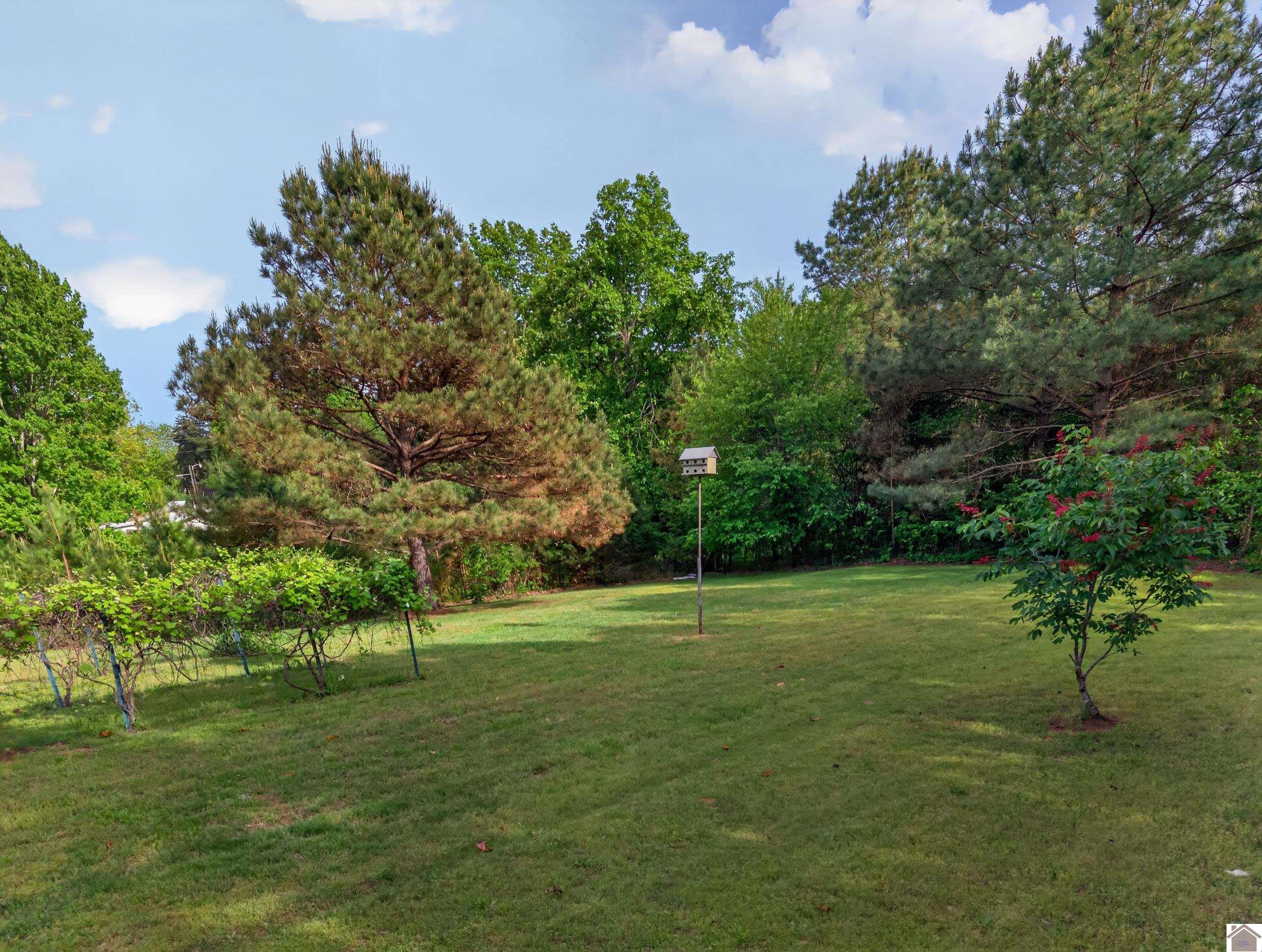 161 Wesley Dr