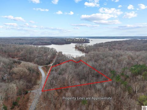 0 Hwy 274 (8.97 acres) Eddyville KY 42038