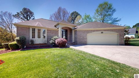 1220 masters dr Mayfield KY 42066