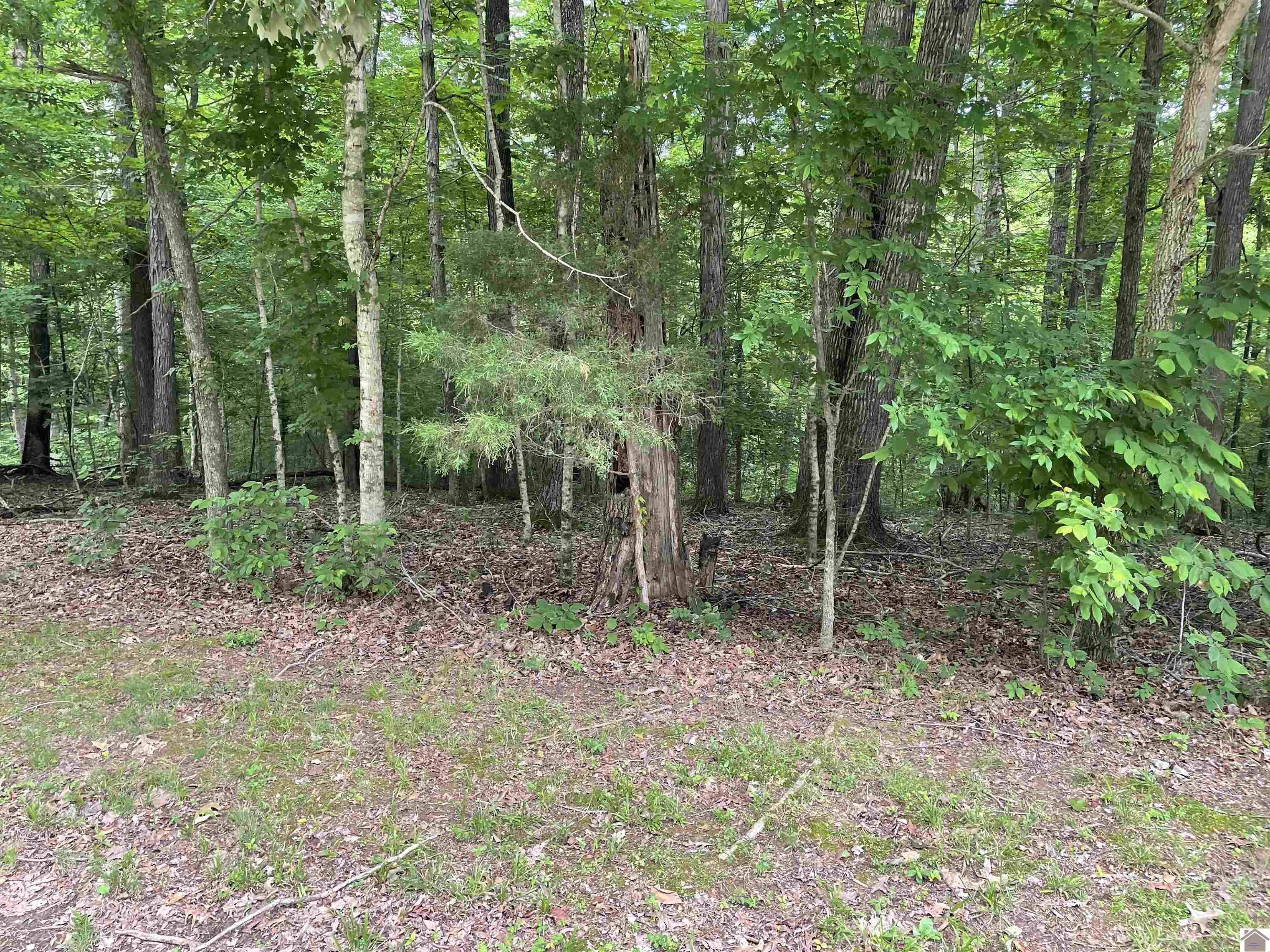 Lot 59 Quail Ridge Rd.