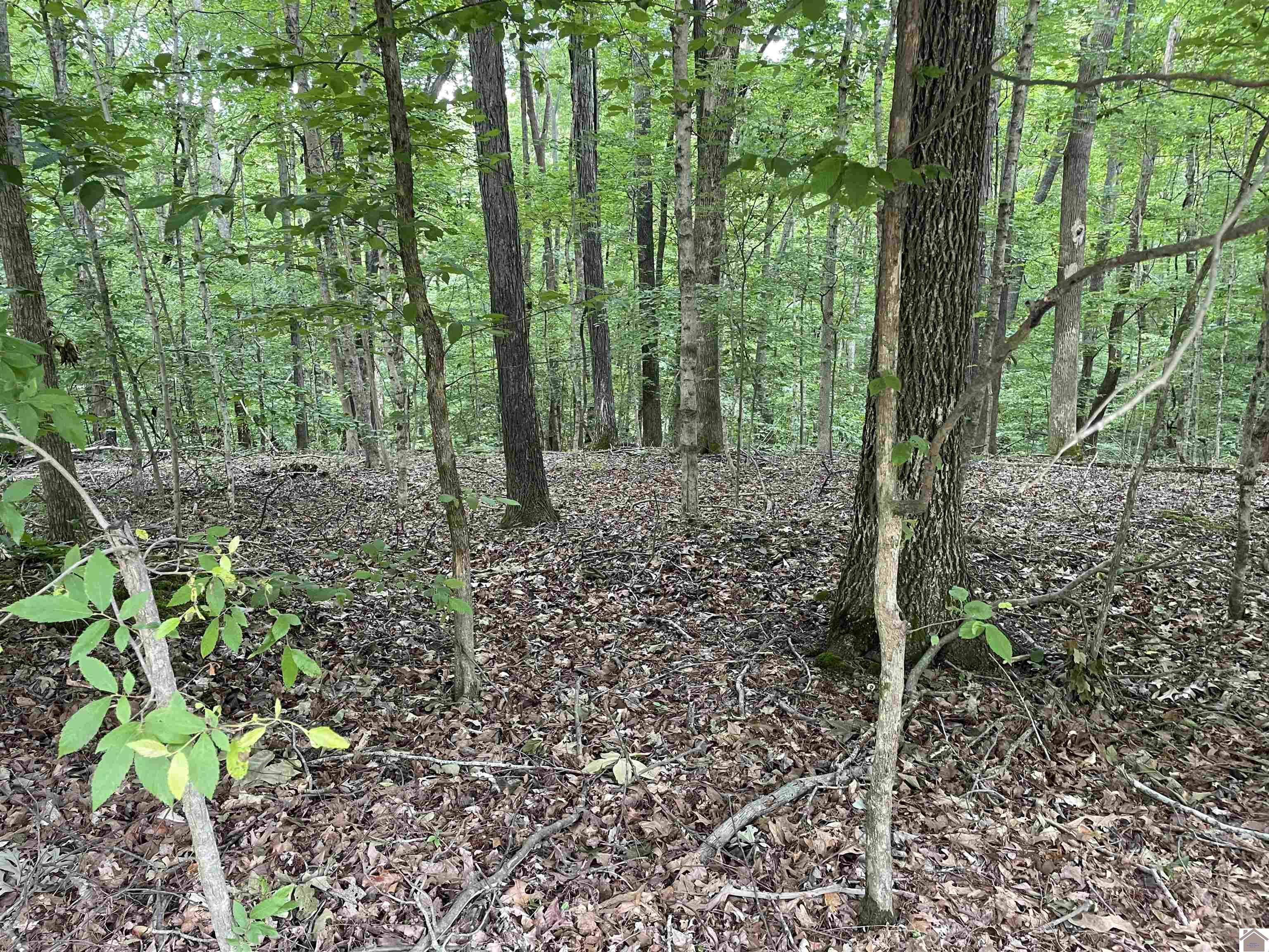 Lot 59 Quail Ridge Rd.