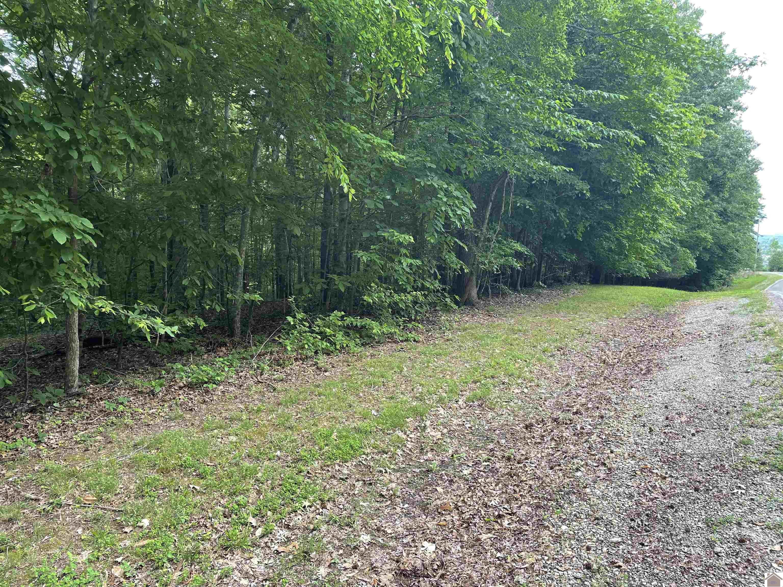 Lot 59 Quail Ridge Rd.