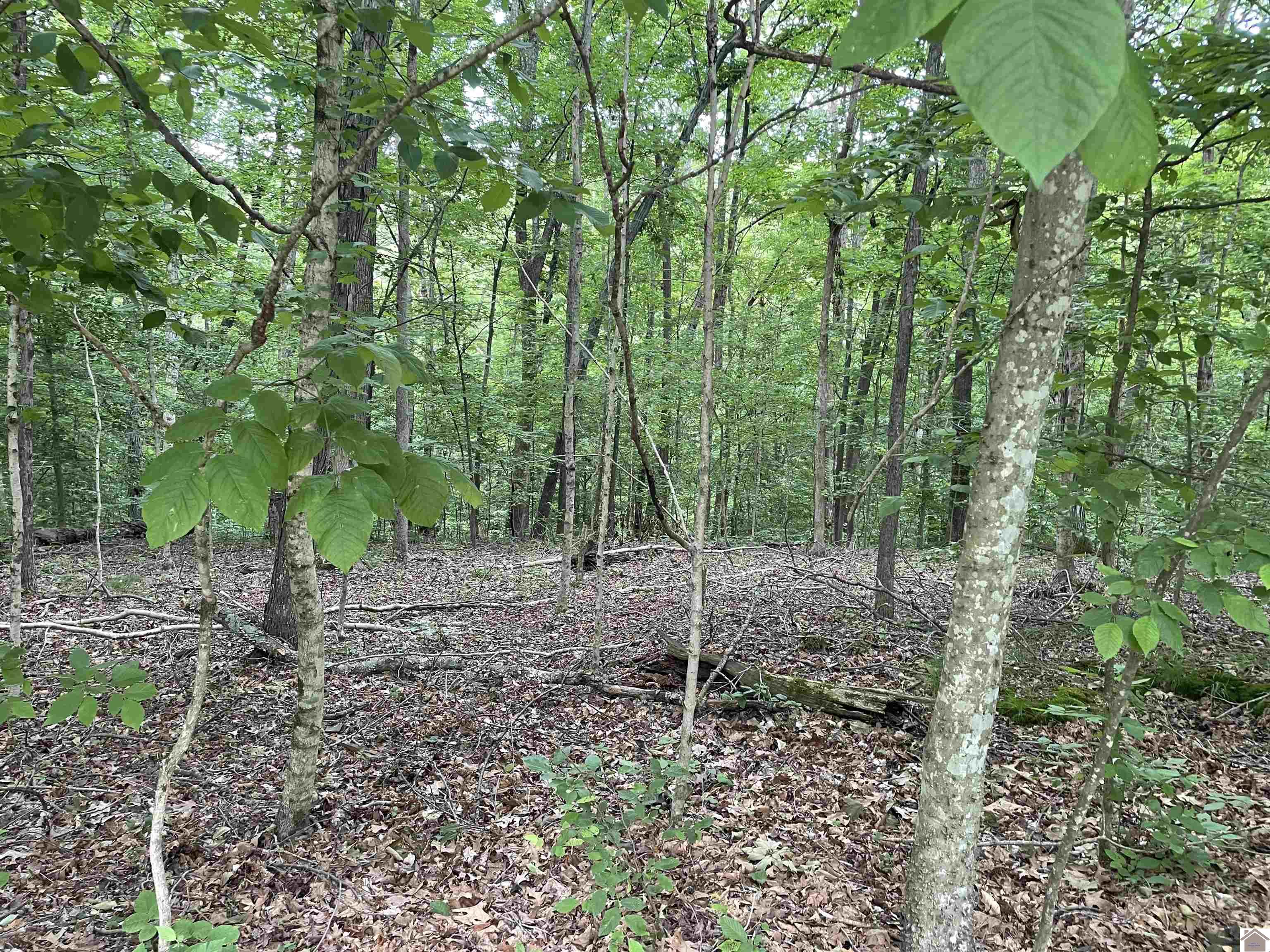 Lot 59 Quail Ridge Rd.