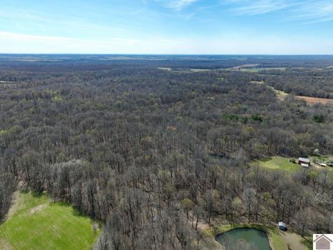 000 State Route 1748 Fancy Farm KY 42039