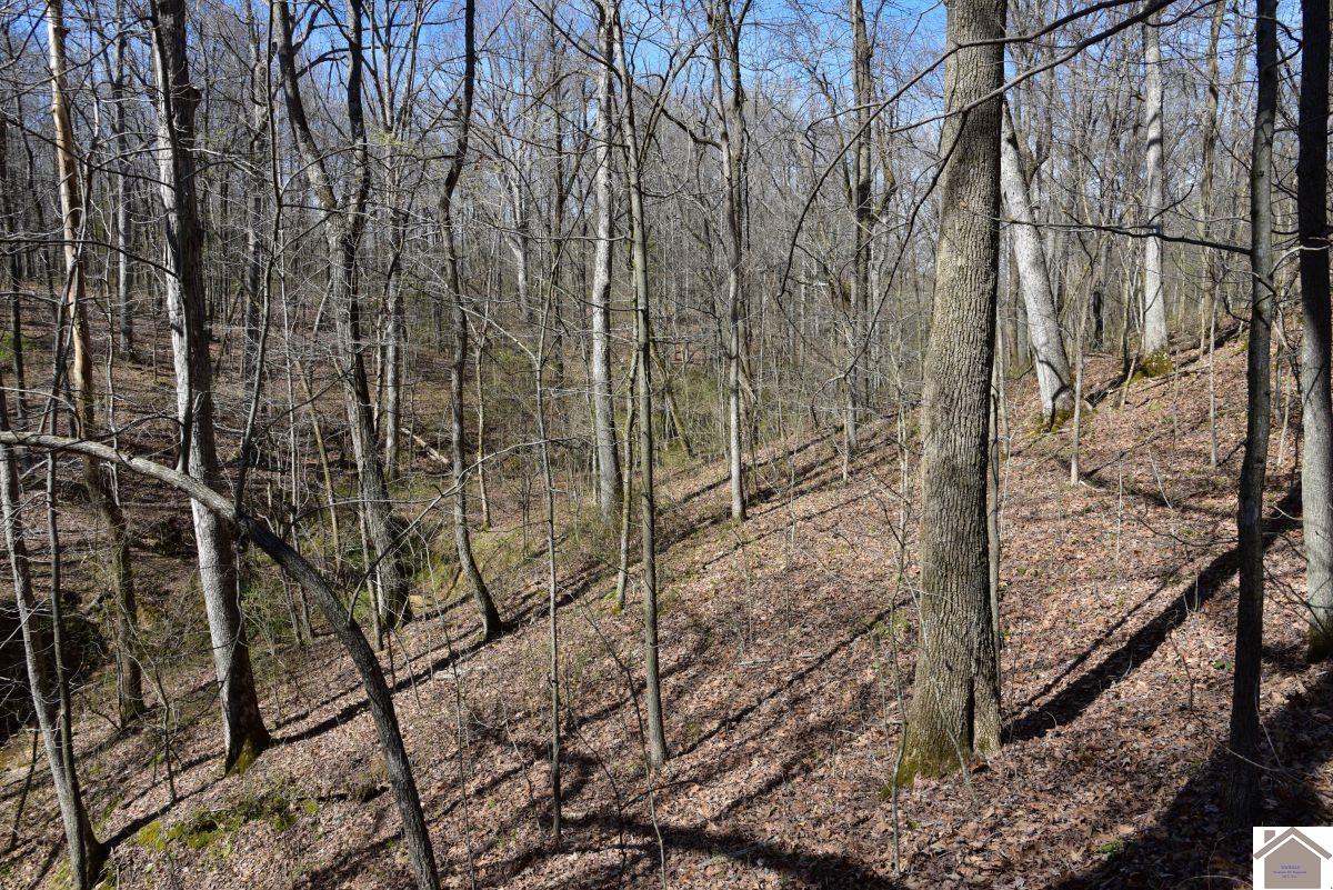 000 State Route 1748