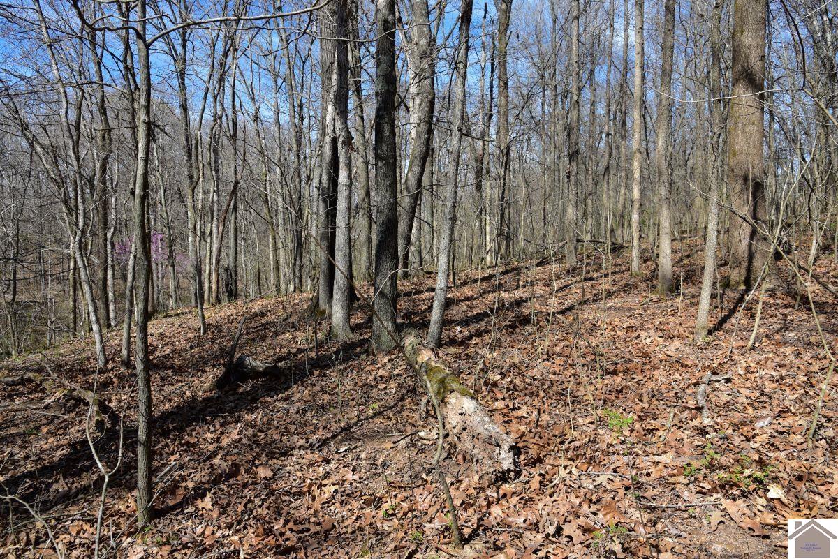 000 State Route 1748