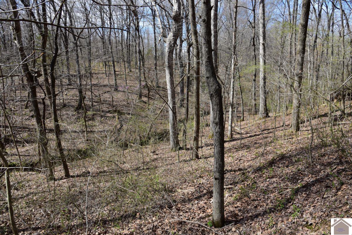 000 State Route 1748