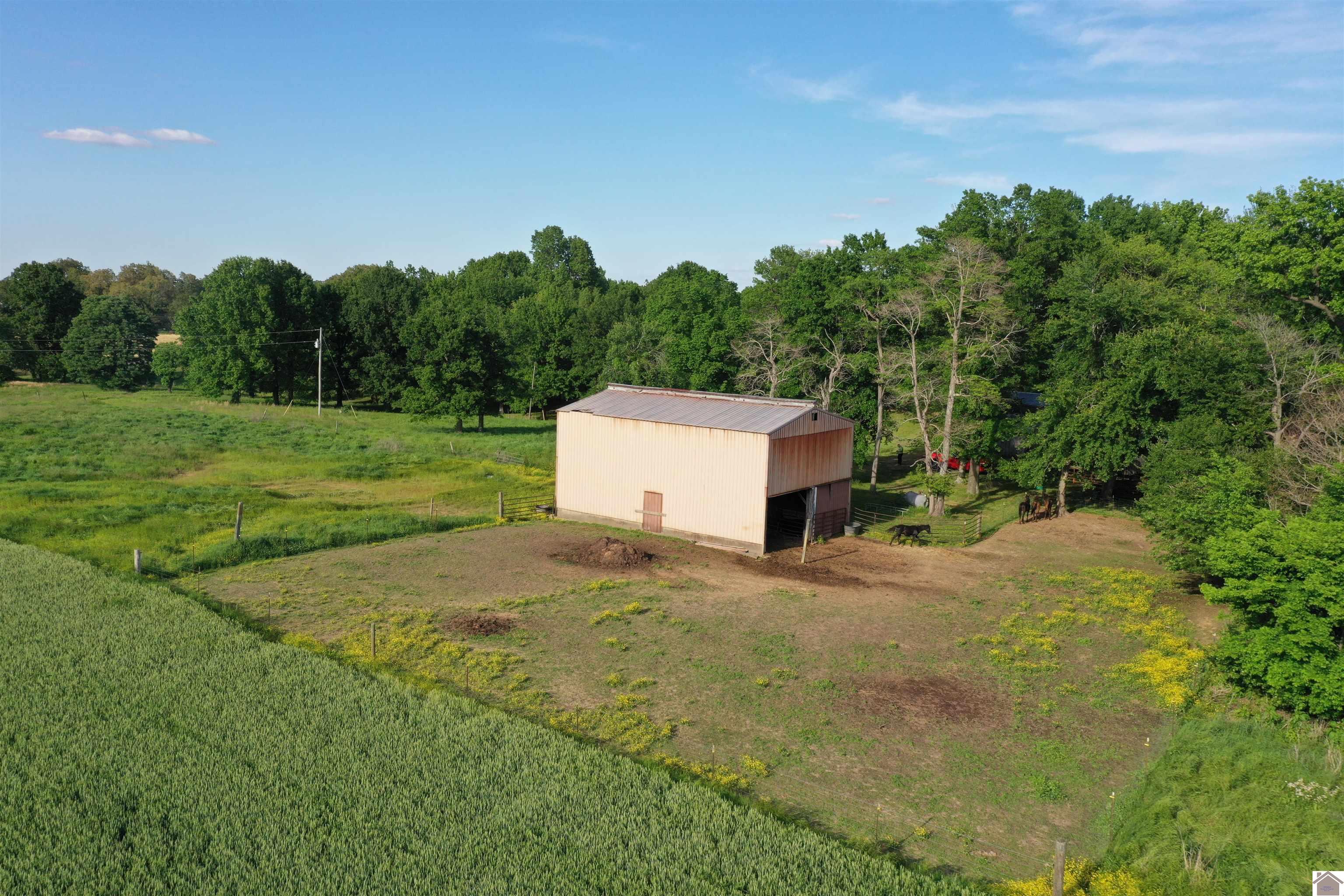 8369 State Route 121 N
