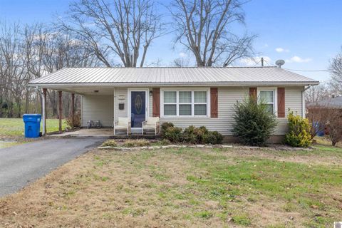 530 Elm St. Clinton KY 42031