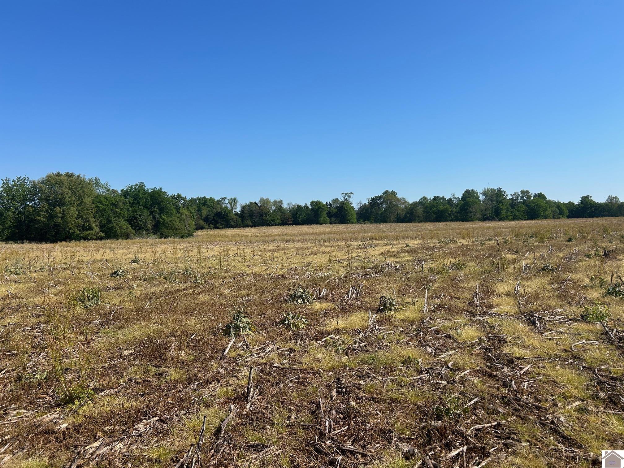 00 Arnett Lane Tract A