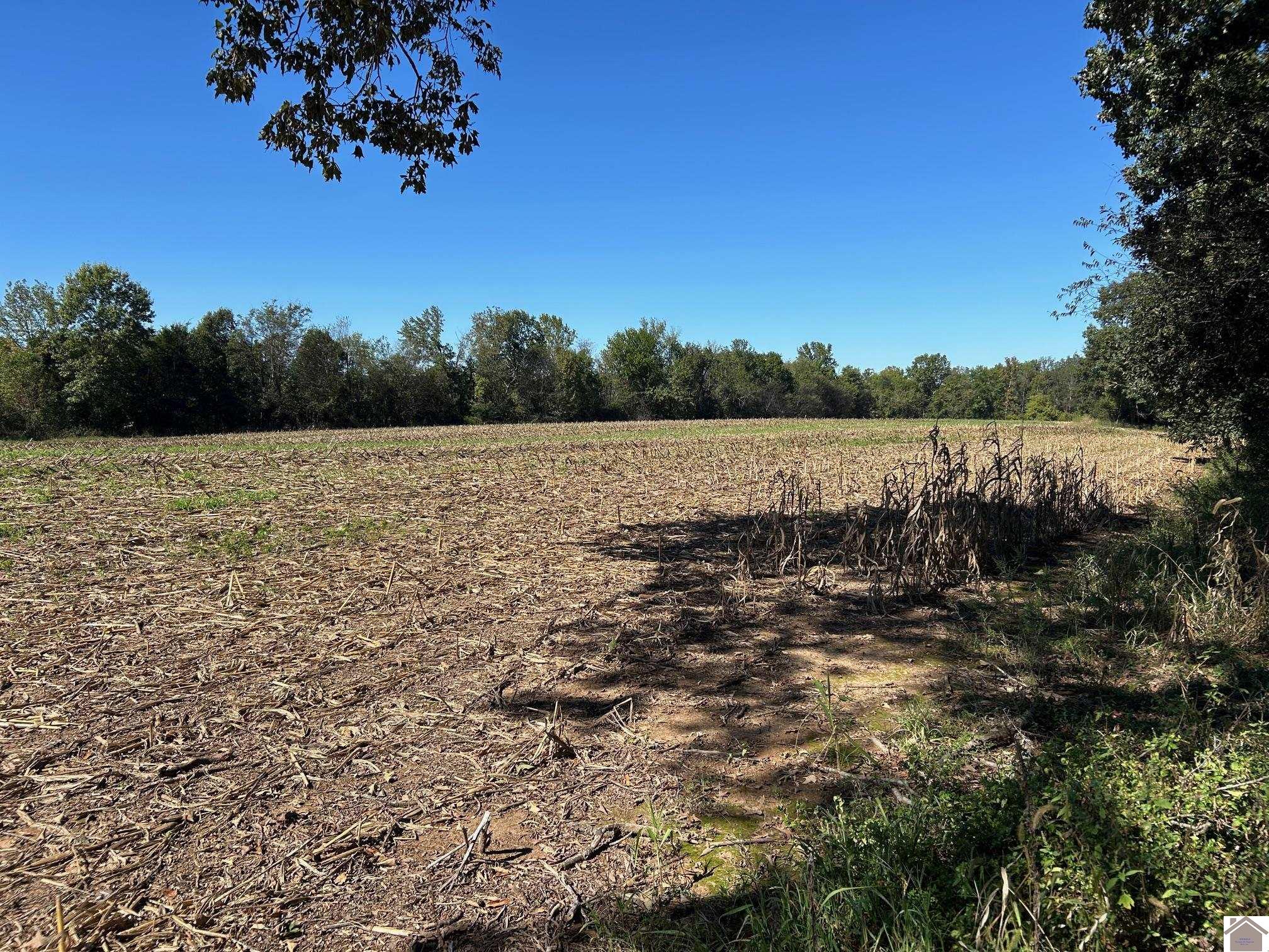 00 Arnett Lane Tract A