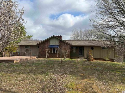 92 Timmons Lane Gilbertsville KY 42044