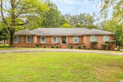 306 Terrace Drive Mayfield KY 42066
