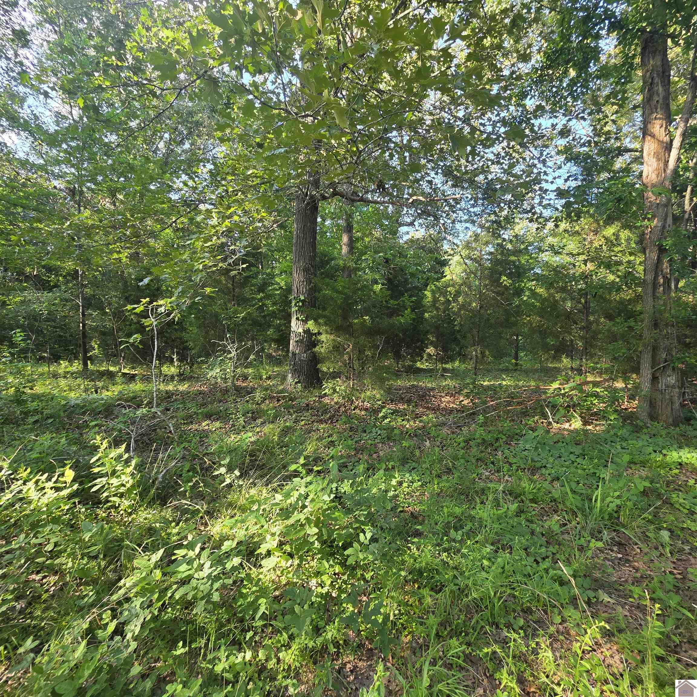 Photo 1 of 6 — 000 Valhalla, Benton, KY 42025