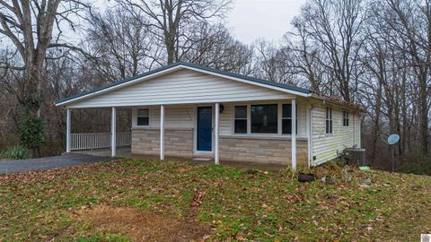 1675 Ridge Rd Gilbertsville KY 42044