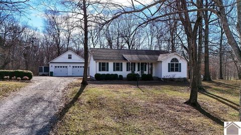 289 Partridge Lane Mayfield KY 42066