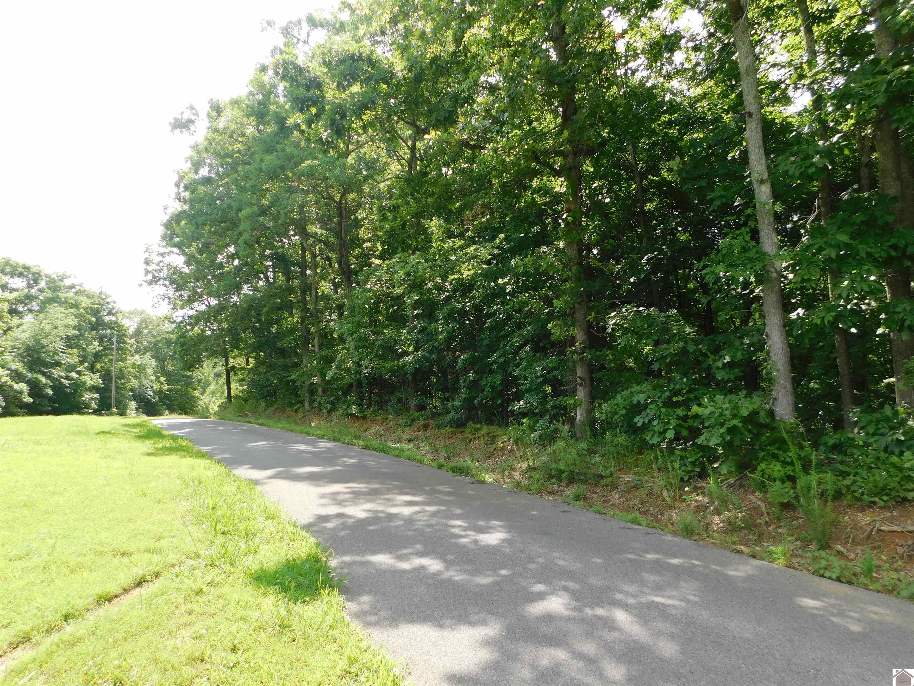Lot 6 Patty Acres Parkersville Rd.