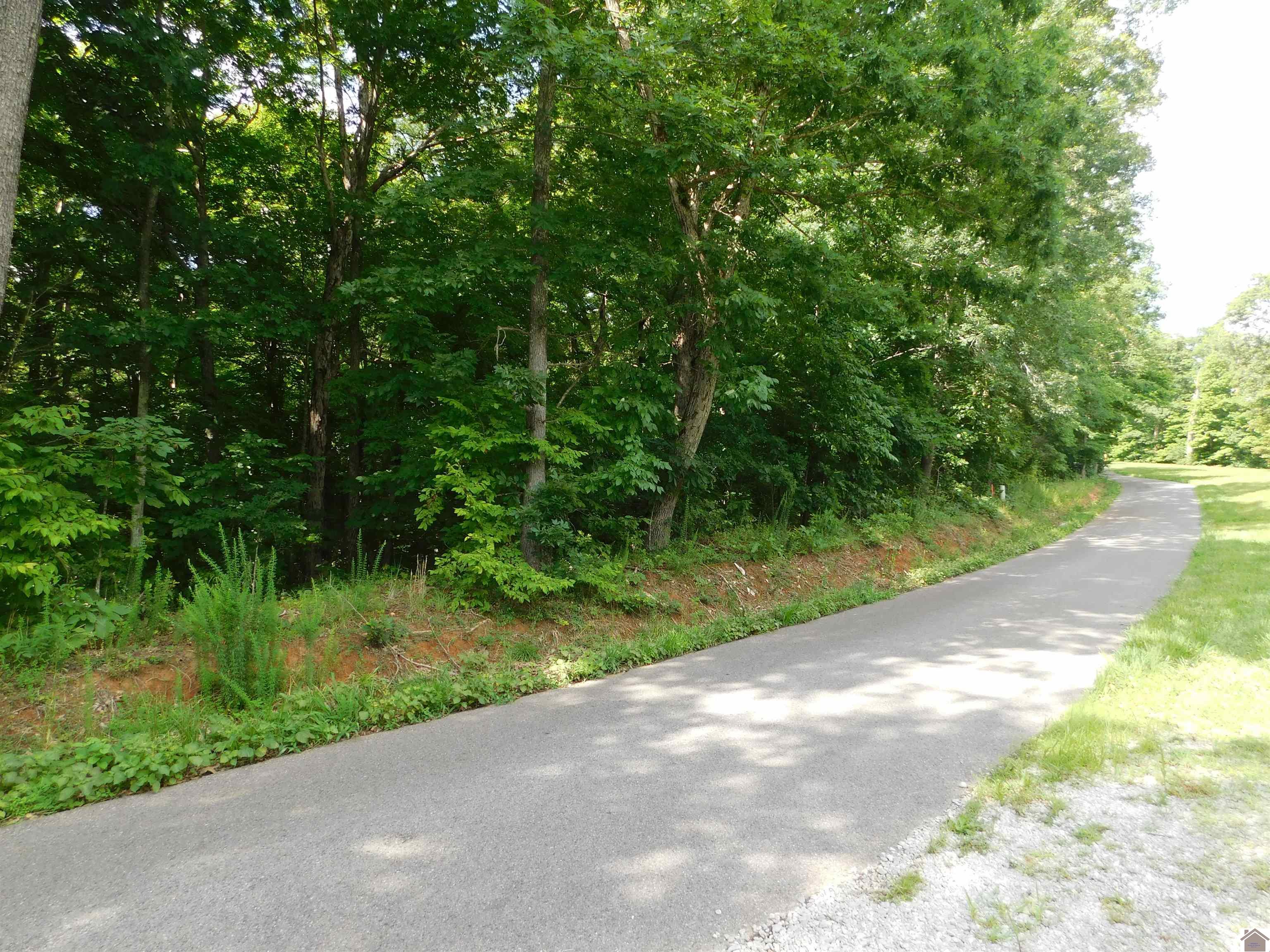Lot 6 Patty Acres Parkersville Rd.