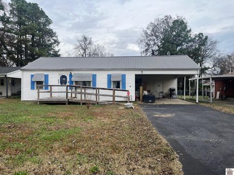 1342 Richard Burnley Avenue Kevil KY 42053