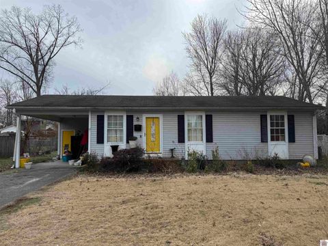 1713 College Farm Road Murray KY 42071