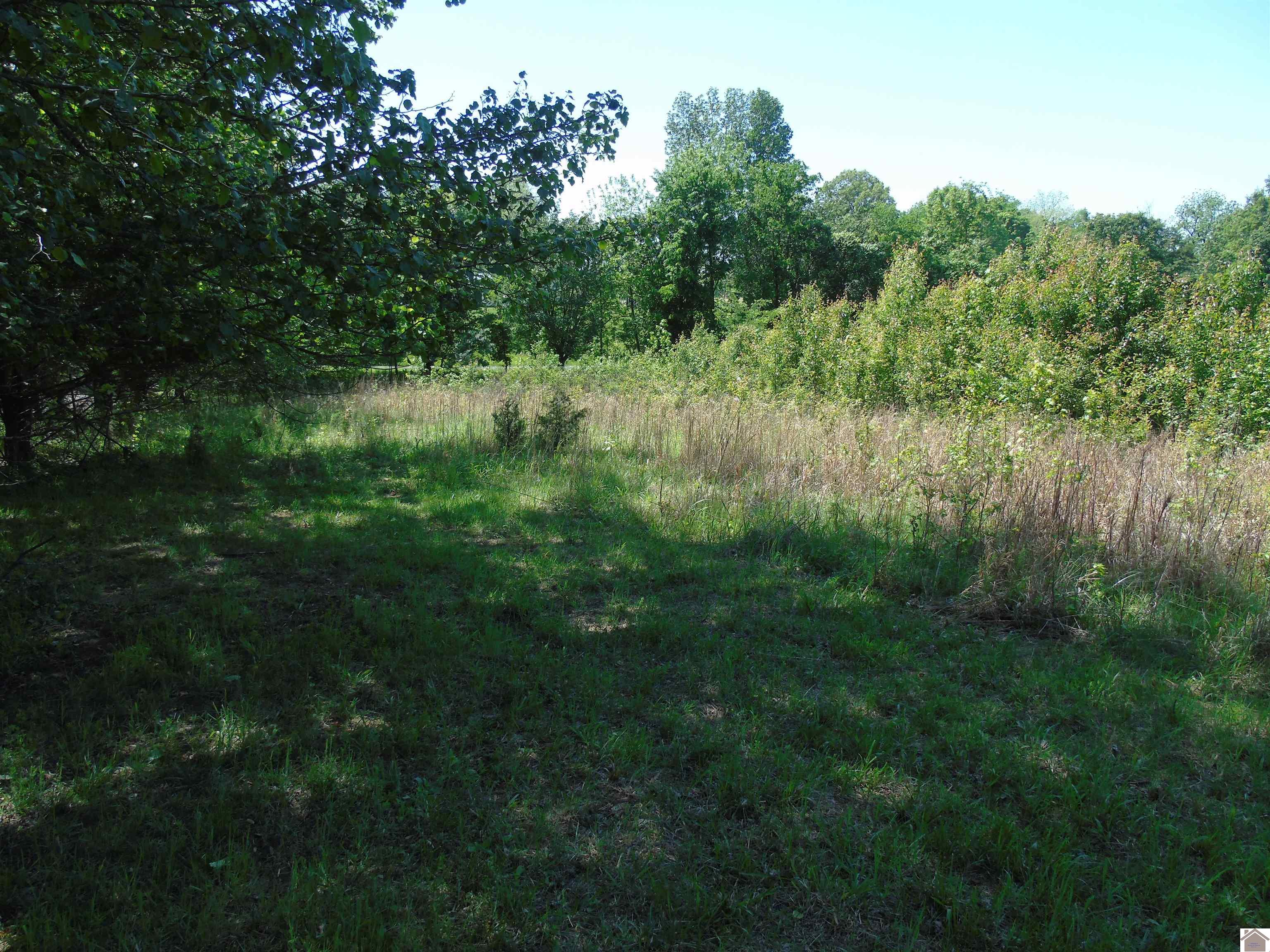 150 clover circle
