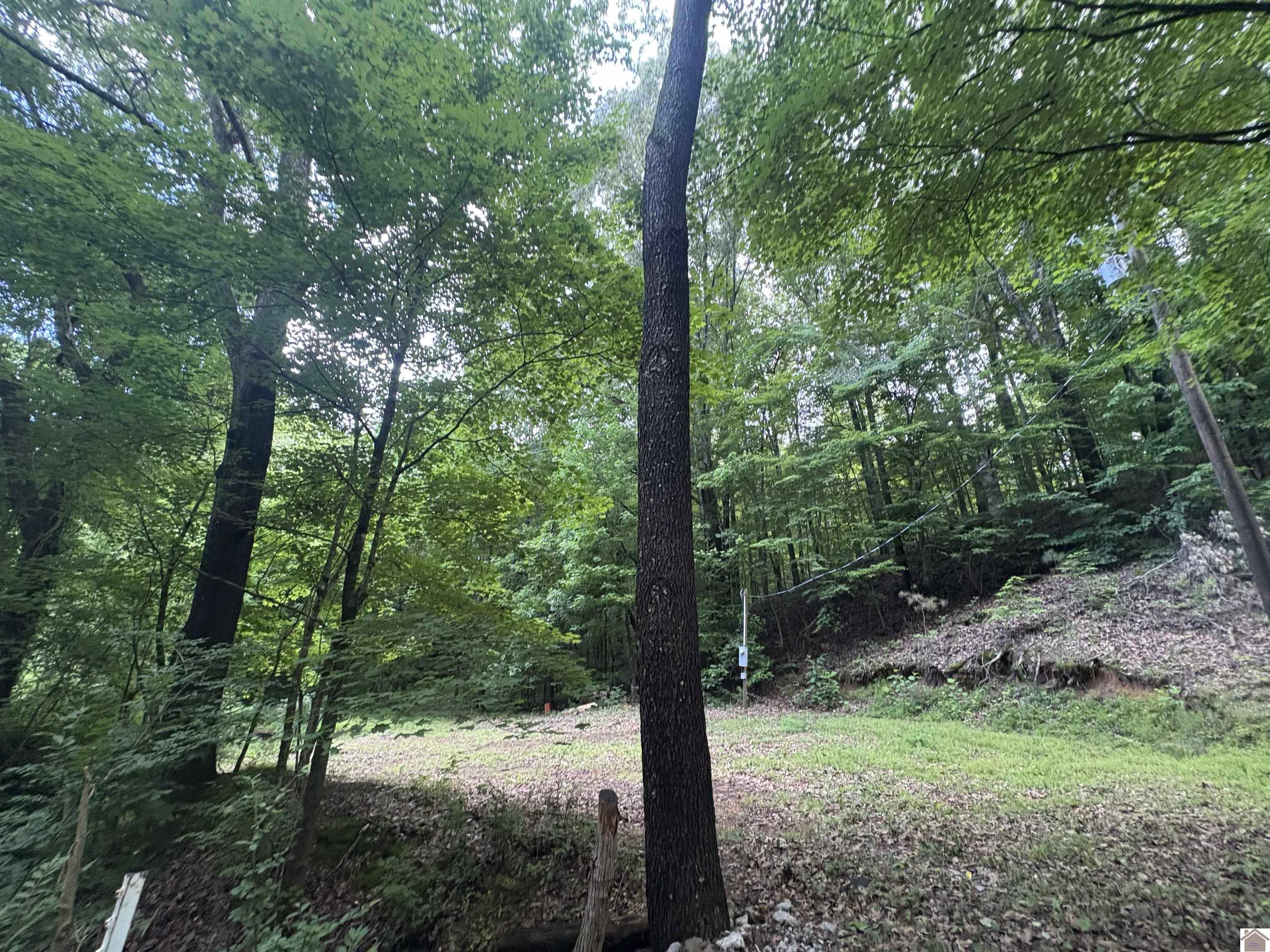 Photo 1 of 10 — 7113 Linton Road, Cadiz, KY 42211