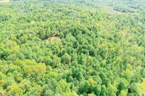 406 Lakewood Rd-Tract 1 Princeton KY 42445